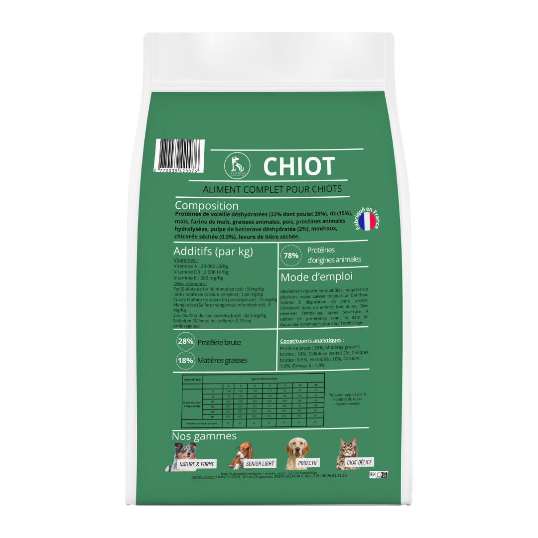 CHIOT – Image 2